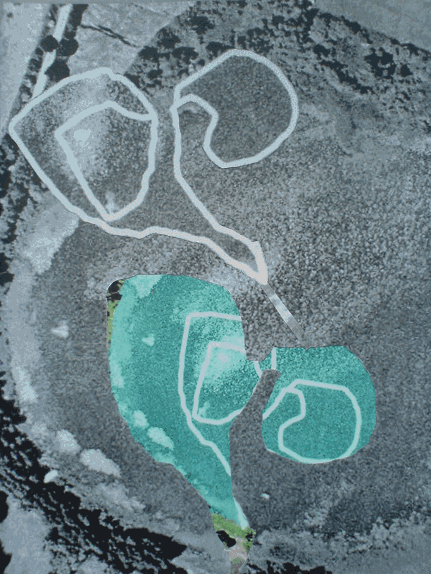 Laura Pearsall 449.gif